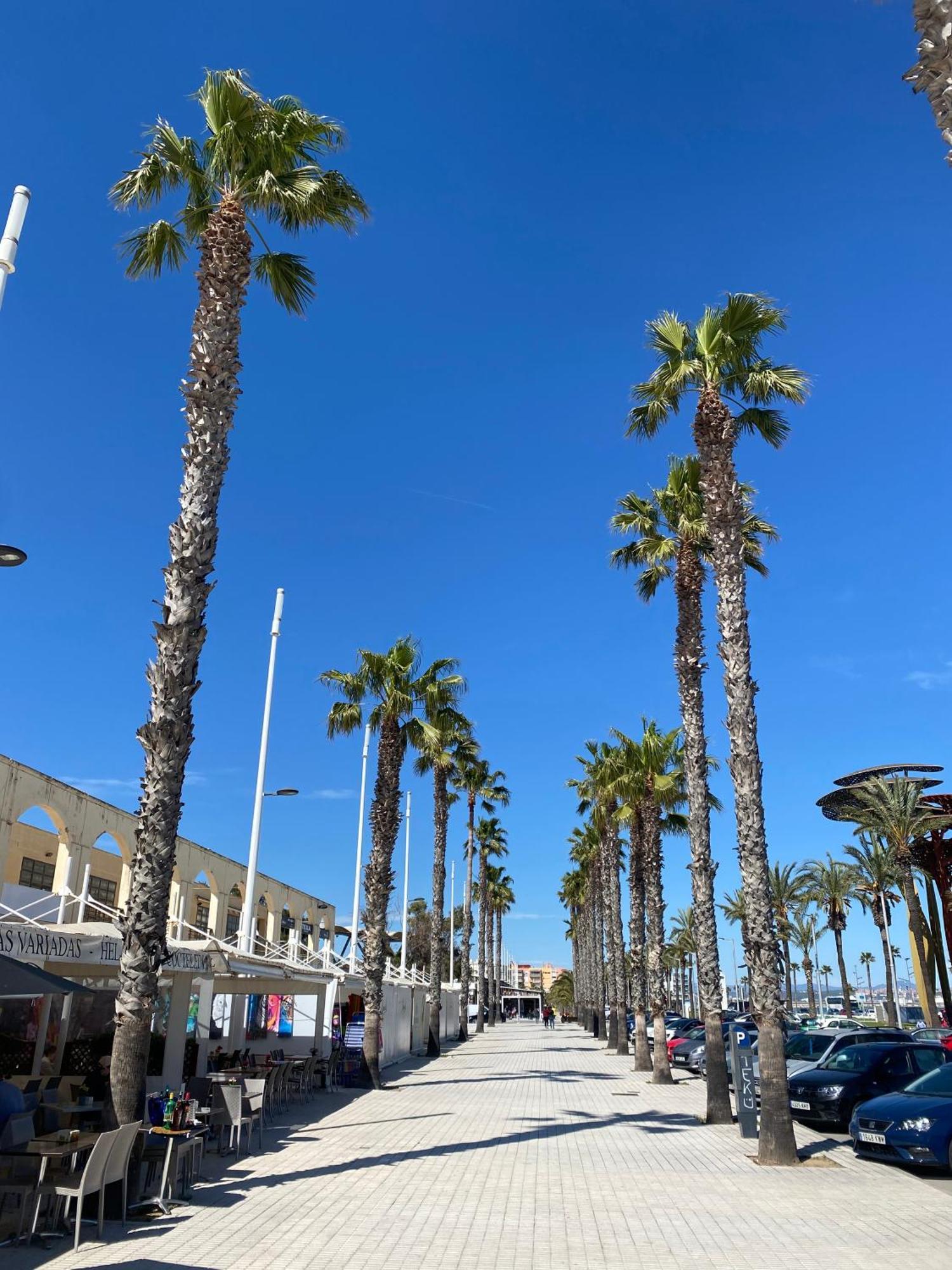 Apartment 13199, Next To The Beach In The Sun, Building Dms-2 La Pineda Eksteriør billede